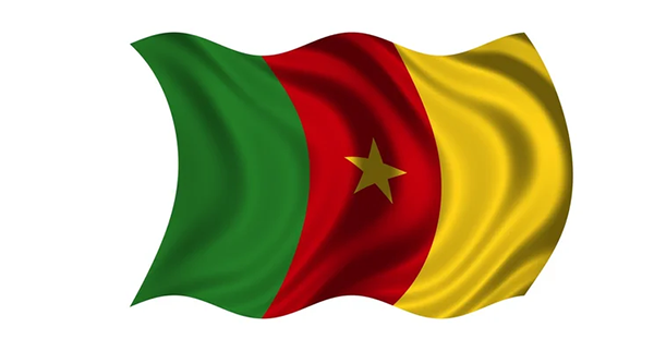 Le drapeau du Cameroun : le symbole d'une nation unie